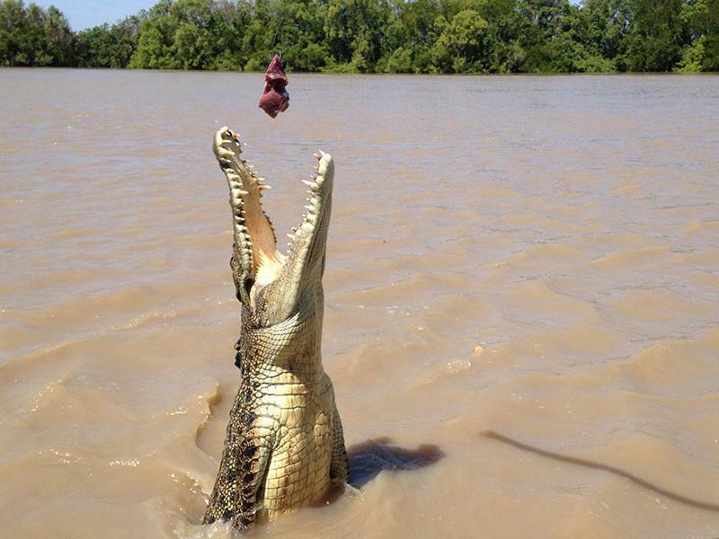 Отель The Tropical Sanctuary Дарвин Экстерьер фото