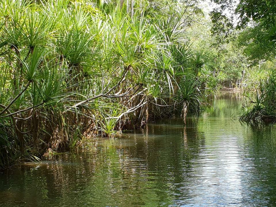 Отель The Tropical Sanctuary Дарвин Экстерьер фото